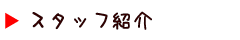 スタッフ紹介