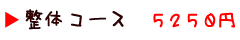 整体コース