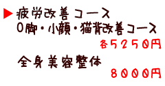 疲労改善・O脚・小顔・猫背改善コース