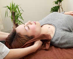 整体コースの画像