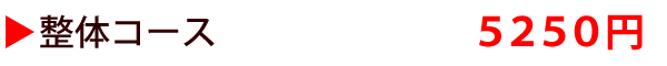 整体コース