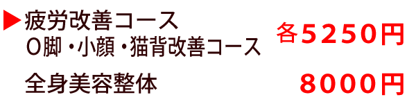 疲労改善・O脚・小顔・猫背改善コース