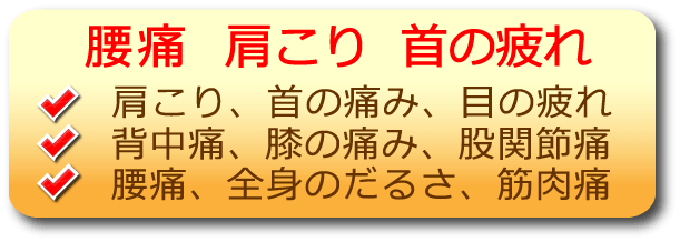 腰痛,肩こり,首の疲れ,肩こり,首の痛み,目の疲れ,背中痛,膝の痛み,股関節痛,腰痛,全身のだるさ,筋肉痛